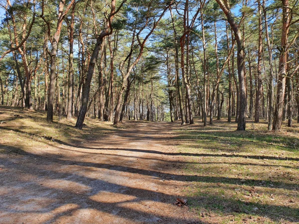 Apartamenty Wislany Przekop Gdansk Dış mekan fotoğraf