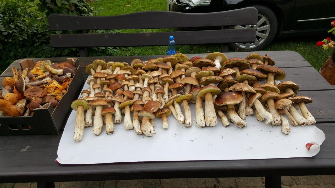 Apartamenty Wislany Przekop Gdansk Dış mekan fotoğraf